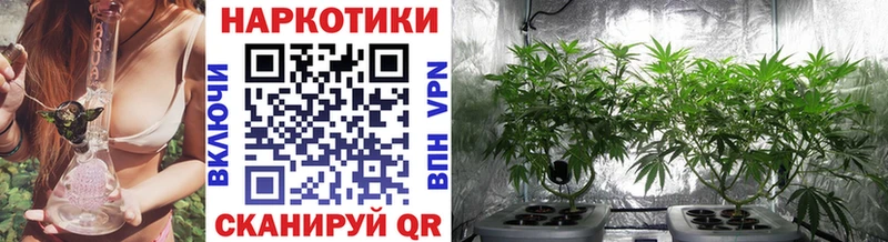 Наркотические вещества Ростов-на-Дону Кетамин СК Меф Cocaine Марихуана